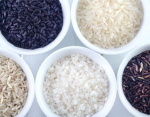 Le 6 varietà di riso
